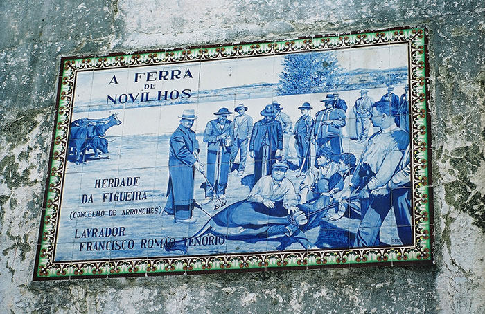 Zilele 16-22 / Foto 34