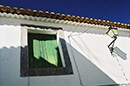 Zilele 16-22 / Poza 40